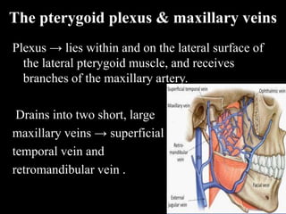 The pterygoid plexus & maxillary veins
Plexus → lies within and on the lateral surface of
the lateral pterygoid muscle, and receives
branches of the maxillary artery.
Drains into two short, large
maxillary veins → superficial
temporal vein and
retromandibular vein .
 