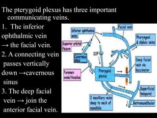 The pterygoid plexus has three important
communicating veins.
1. The inferior
ophthalmic vein
→ the facial vein.
2. A connecting vein
passes vertically
down →cavernous
sinus
3. The deep facial
vein → join the
anterior facial vein.
 