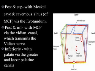 Post & sup- with Meckel
cave & cavernous sinus (of
MCF) via the F.rotundum.
Post & inf- with MCF
via the vidian canal,
which transmits the
Vidian nerve.
Inferiorly - with
palate via the greater
and lesser palatine
canals
 