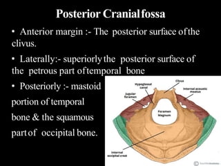 Posterior Cranialfossa
• Anterior margin :- The posterior surface ofthe
clivus.
• Laterally:- superiorlythe posterior surface of
the petrous part oftemporal bone
• Posteriorly :- mastoid
portion of temporal
bone & the squamous
partof occipital bone.
 