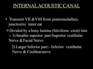 INTERNALACOUSTICCANAL
• Transmit VII &VIII from pontomedullary
junctionto inner ear
Divided by a bony lamina (falciform crest) into
:- 1)Smaller superior part:Superior vestibular
Nerve &Facial Nerve
2) Larger Inferior part:- Inferior vestibular
Nerve & Cochlearnerve
 
