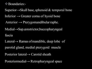 Boundaries:-
Superior→Skull base,sphenoid & temporal bone
Inferior → Greater cornu of hyoid bone
Anterior → Pterygomandibularraphe.
Medial→Sup.constrictor,buccopharyngeal
fascia
Lateral→ Ramus ofmandible, deep lobe of
parotid gland, medial pterygoid muscle
Posterior lateral→ Carotid sheath
Posteriormedial→ Retropharyngeal space
 