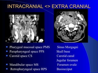 INTRACRANIAL <> EXTRA CRANIALINTRACRANIAL <> EXTRA CRANIAL
 Pharygeal mucosal space PMS Sinus Morgagni
 Parapharyngeal space PPS Skull base
 Carotid space CS Carotid canal
Jugular foramen
 Mandibular space MS Foramen ovale
 Retropharyngeal space RPS Basiocciput
 