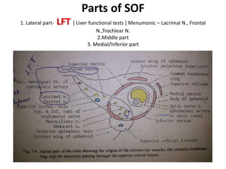 Bulbar fascia includes
1. Tenon’s capsule 2. Tubular sheat for each orbital muscle 3. medial & lateral
check ligament 4. suspensory ligament of lockwood
 