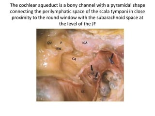 3rd GENU
When facial nerve exists the temporal bone , the main trunk of
the facial nerve is the perpendicular bisection of a line joining
the cartilagenous pointer to the mastoid tip – some surgeons call
this bend as 3rd genu.
 