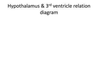 Observe here the Pcom (here labelled as ACoP in some language ) is parallel
to 3rd nerve in infrachiasmatic cistern . Excellent photo .
Other points to note 1. 3rd nerve sandwitched between posterior cerebral
artery & superior cerebellar artery . 2. On the left side 2 superior cerebellar
arteries present from the origin itself. 3. Diameter of Pcom varies on two
sides. 4. Infra-chiasmastic cistern is nothing but suprasellar area
 