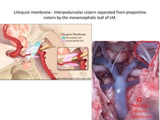 1st & 2nd cervical vertebrae
 