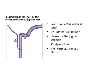 a. IPS inferior to nerve IX and
superior to nerves X and XII.
b. IPS inferior and medial to all
four nerves.
c. IPS superior and lateral to all
four nerves
d. A second IPS joining the
internal jugular vein passing
medial to IX and lateral to X,
XI, and XII
 