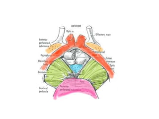 In middle cranial fossa approach
 