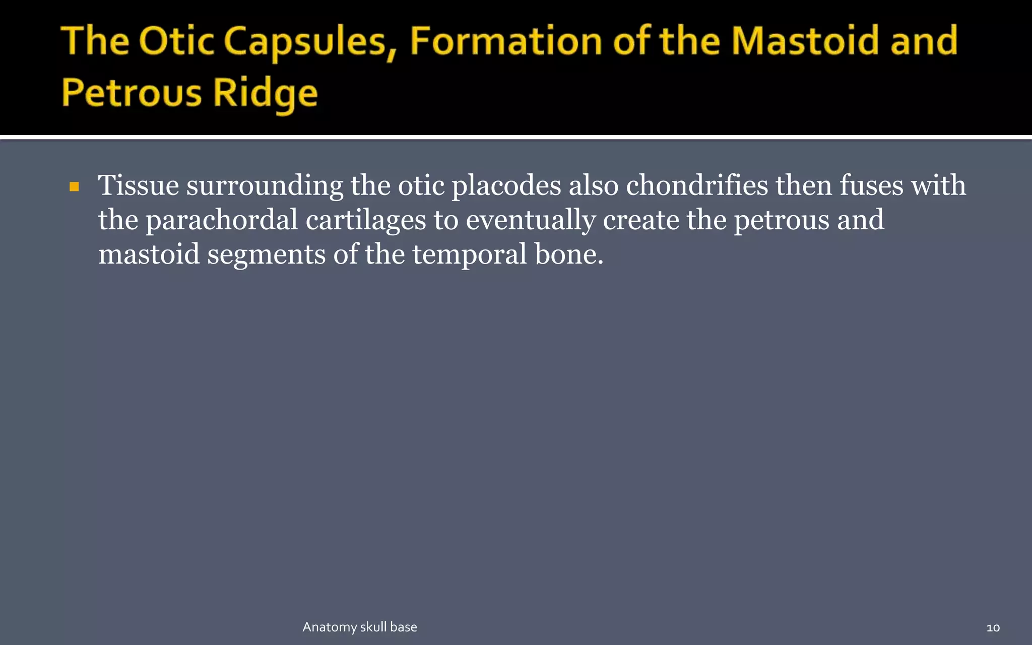  Tissue surrounding the otic placodes also chondrifies then fuses with
the parachordal cartilages to eventually create the petrous and
mastoid segments of the temporal bone.
10Anatomy skull base
 