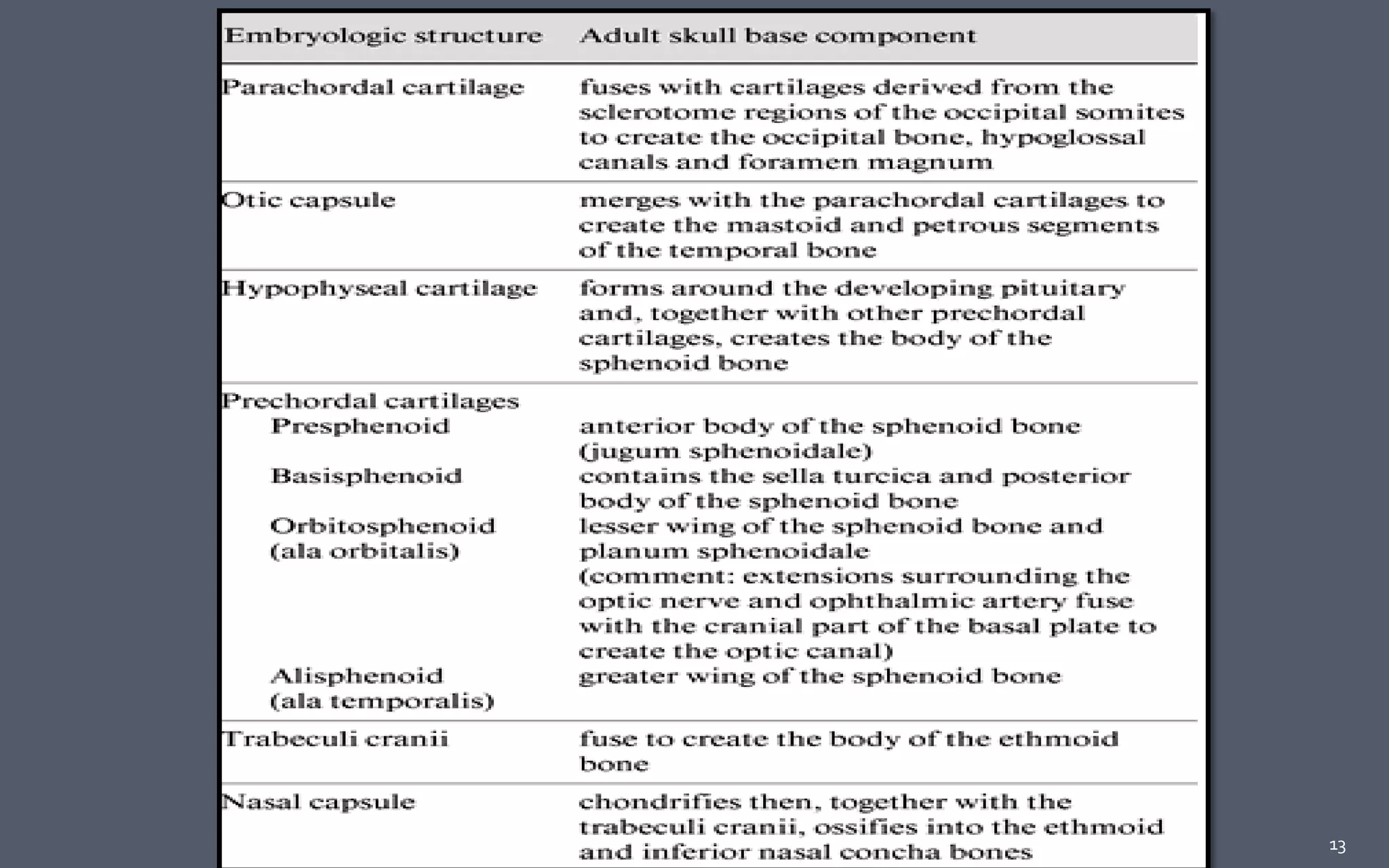 13Anatomy skull base
 