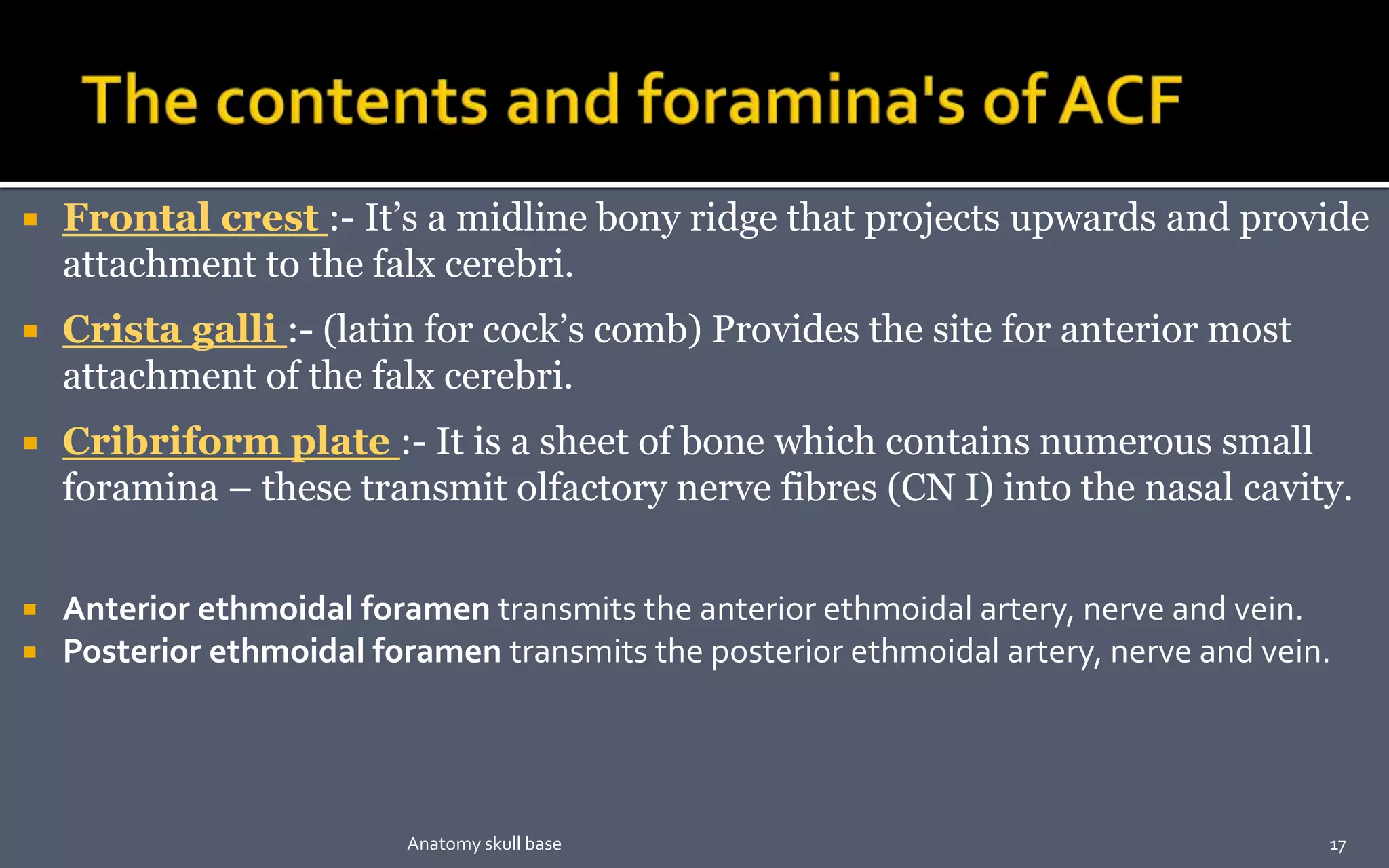  Frontal crest :- It’s a midline bony ridge that projects upwards and provide
attachment to the falx cerebri.
 Crista galli :- (latin for cock’s comb) Provides the site for anterior most
attachment of the falx cerebri.
 Cribriform plate :- It is a sheet of bone which contains numerous small
foramina – these transmit olfactory nerve fibres (CN I) into the nasal cavity.
 Anterior ethmoidal foramen transmits the anterior ethmoidal artery, nerve and vein.
 Posterior ethmoidal foramen transmits the posterior ethmoidal artery, nerve and vein.
17Anatomy skull base
 