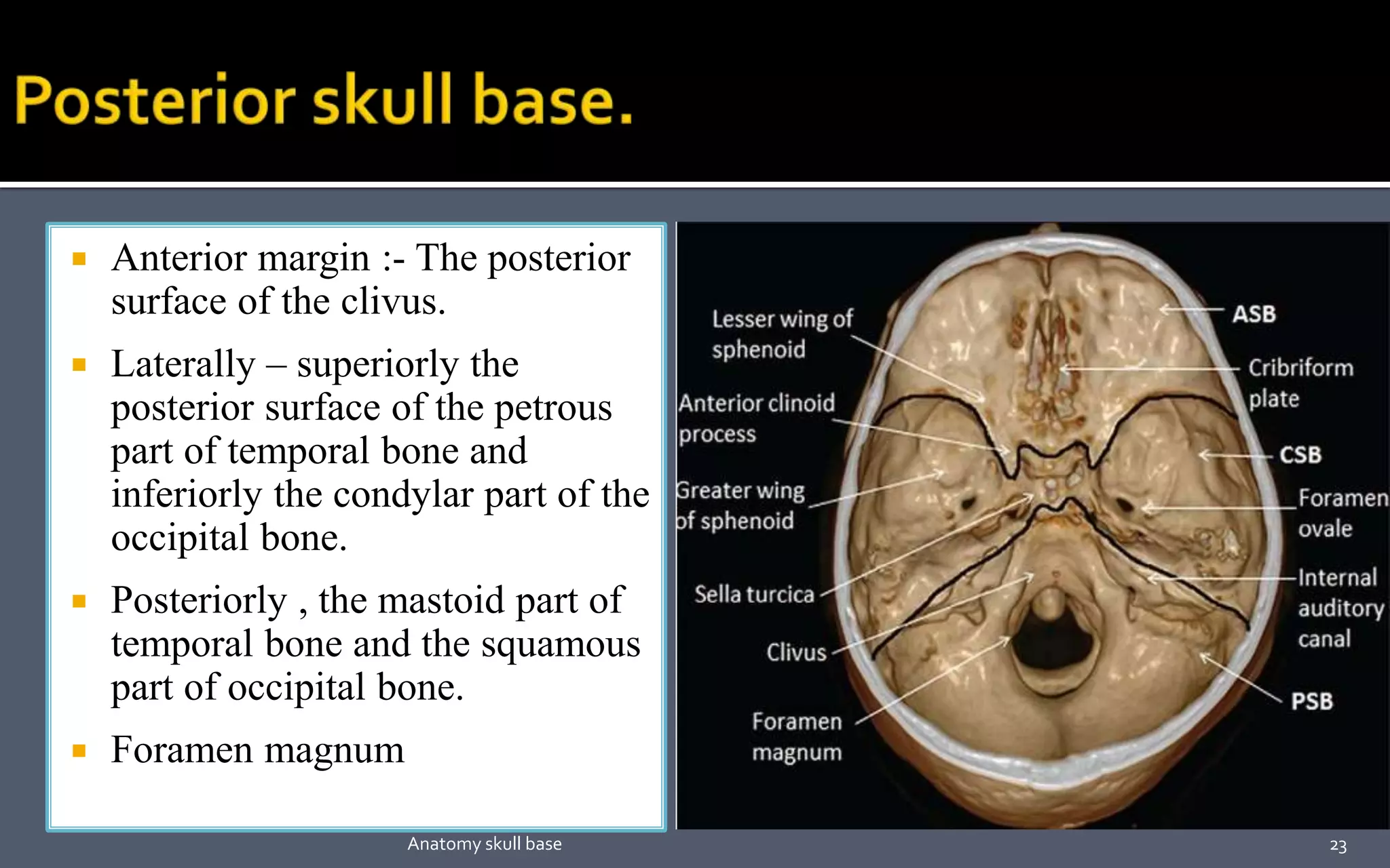  Anterior margin :- The posterior
surface of the clivus.
 Laterally – superiorly the
posterior surface of the petrous
part of temporal bone and
inferiorly the condylar part of the
occipital bone.
 Posteriorly , the mastoid part of
temporal bone and the squamous
part of occipital bone.
 Foramen magnum
23Anatomy skull base
 