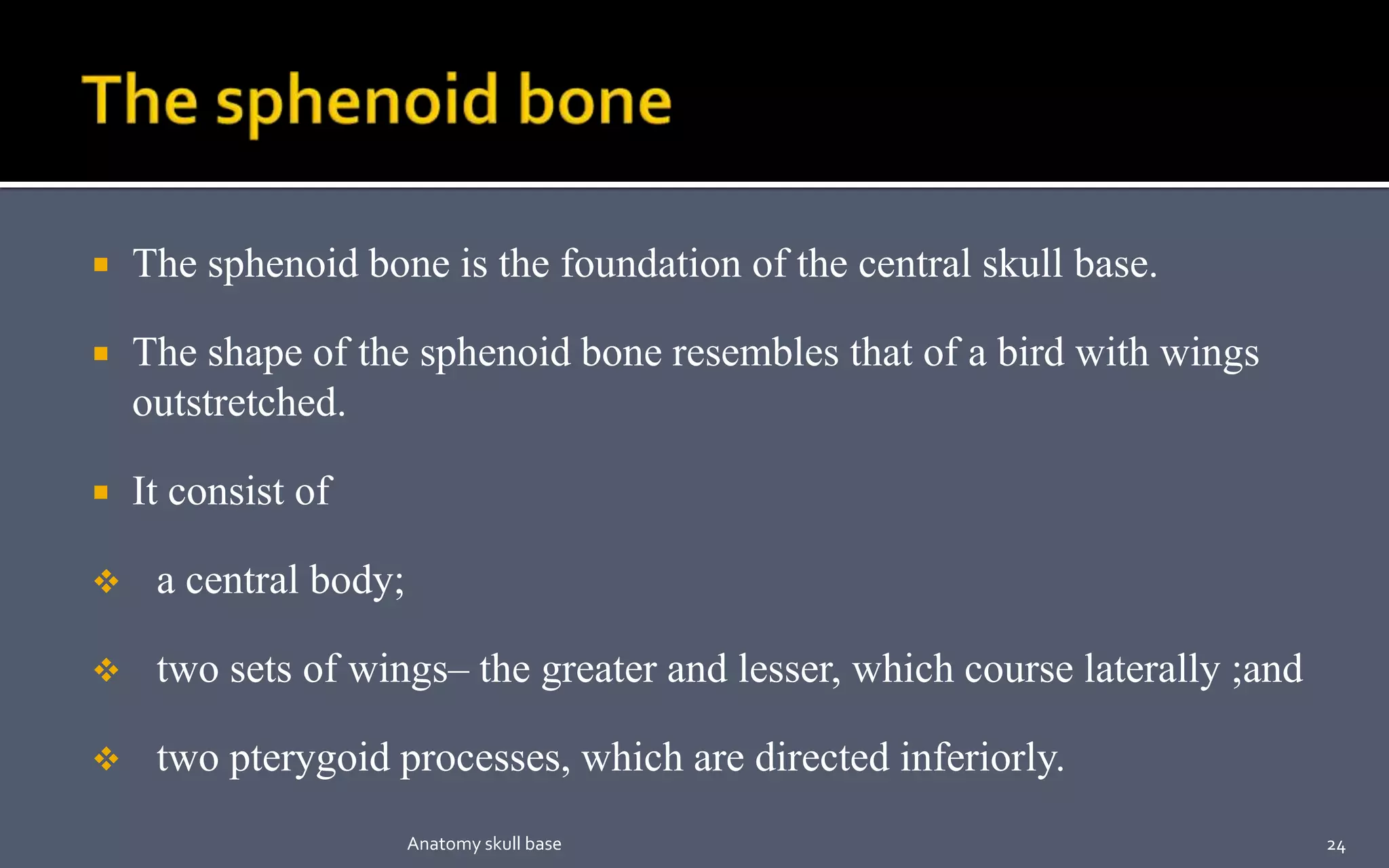  The sphenoid bone is the foundation of the central skull base.
 The shape of the sphenoid bone resembles that of a bird with wings
outstretched.
 It consist of
 a central body;
 two sets of wings– the greater and lesser, which course laterally ;and
 two pterygoid processes, which are directed inferiorly.
24Anatomy skull base
 