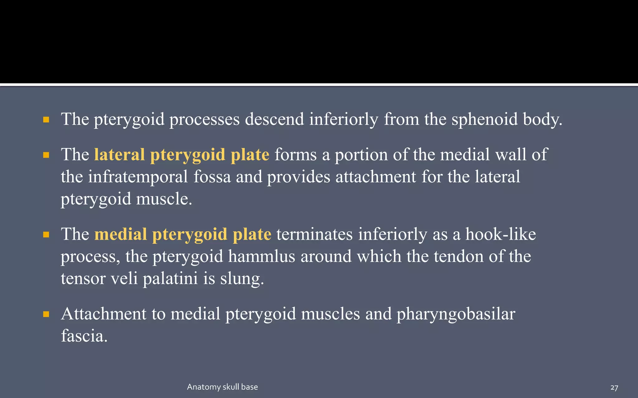  The pterygoid processes descend inferiorly from the sphenoid body.
 The lateral pterygoid plate forms a portion of the medial wall of
the infratemporal fossa and provides attachment for the lateral
pterygoid muscle.
 The medial pterygoid plate terminates inferiorly as a hook-like
process, the pterygoid hammlus around which the tendon of the
tensor veli palatini is slung.
 Attachment to medial pterygoid muscles and pharyngobasilar
fascia.
27Anatomy skull base
 