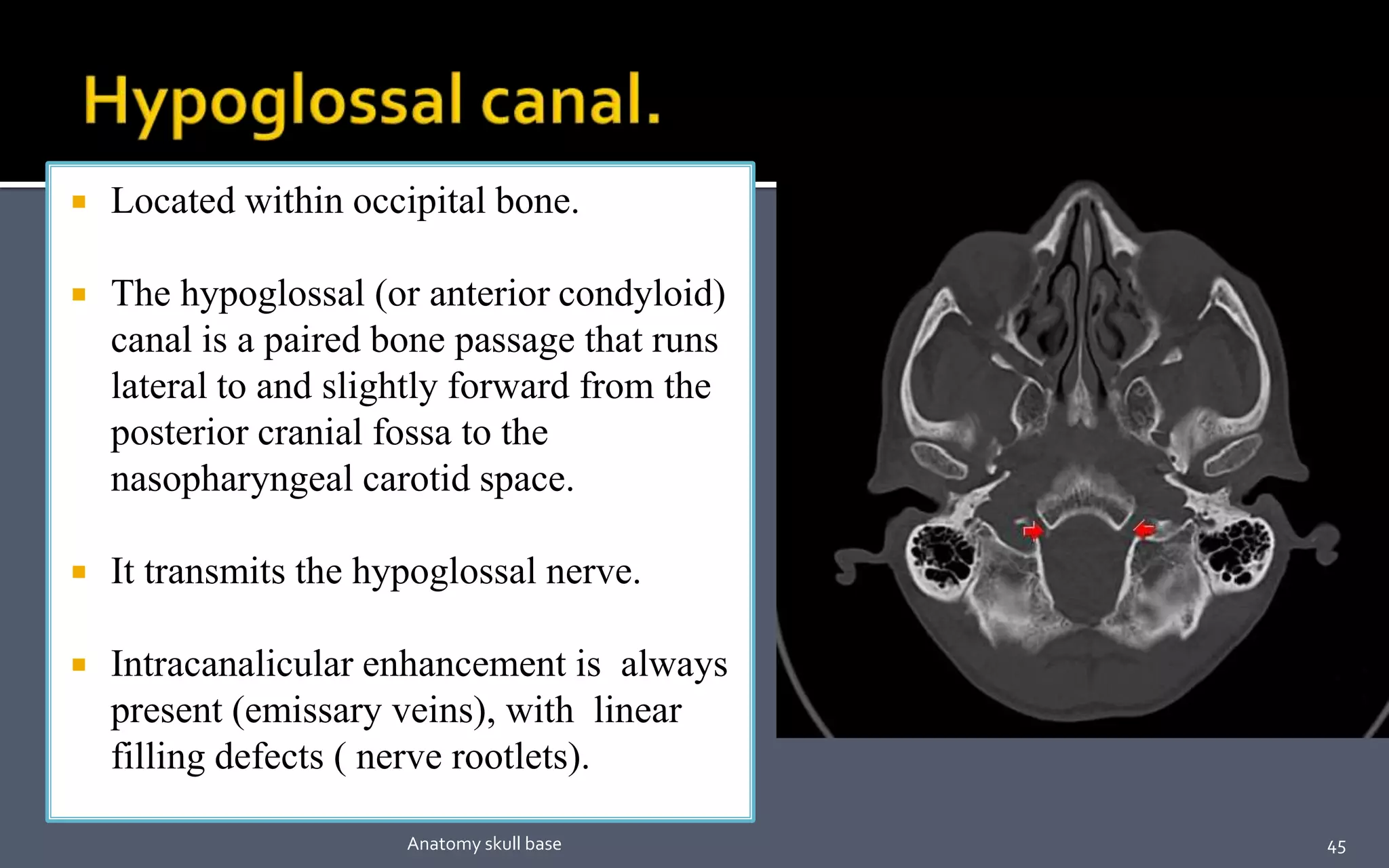  Located within occipital bone.
 The hypoglossal (or anterior condyloid)
canal is a paired bone passage that runs
lateral to and slightly forward from the
posterior cranial fossa to the
nasopharyngeal carotid space.
 It transmits the hypoglossal nerve.
 Intracanalicular enhancement is always
present (emissary veins), with linear
filling defects ( nerve rootlets).
45Anatomy skull base
 