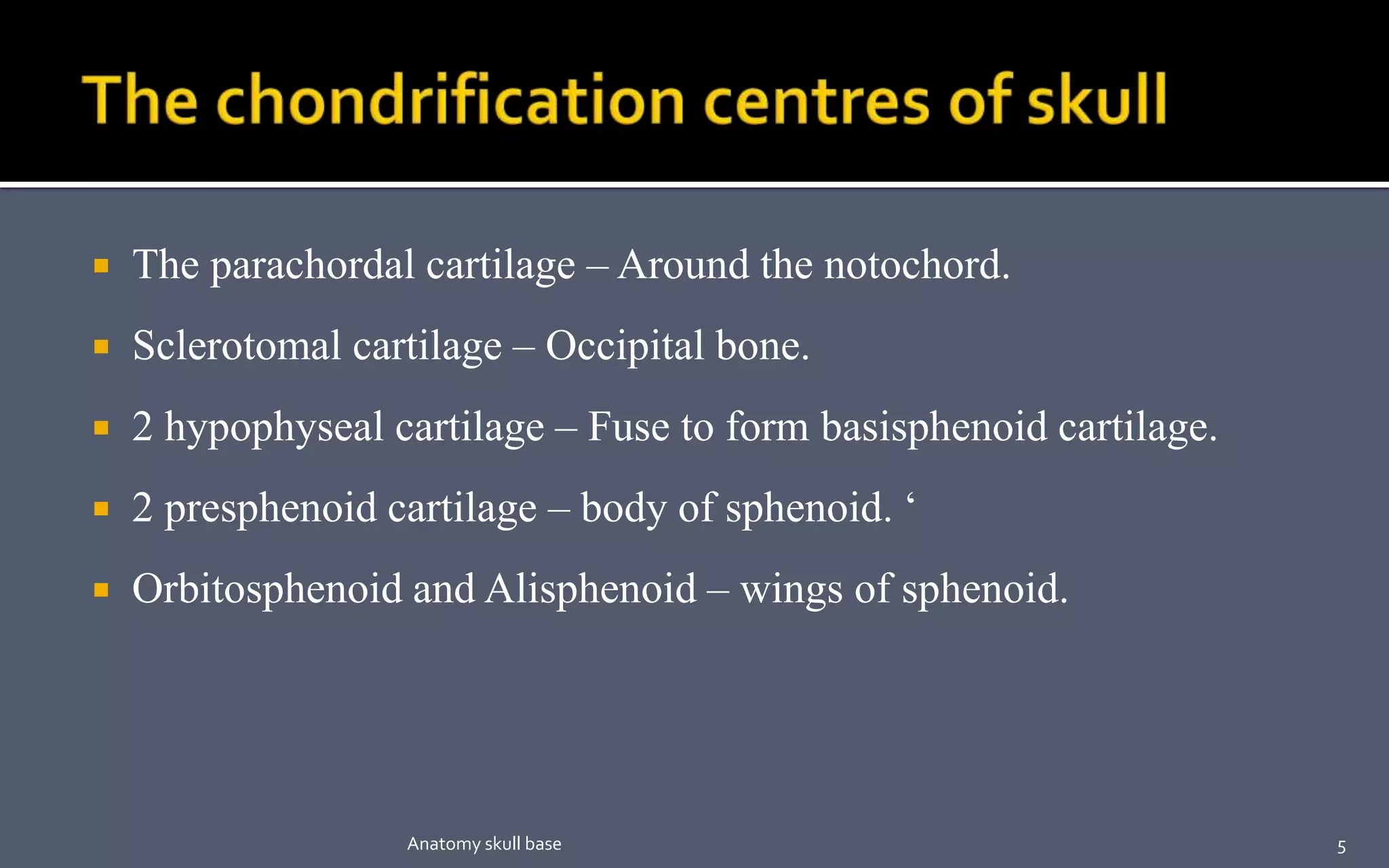  The parachordal cartilage – Around the notochord.
 Sclerotomal cartilage – Occipital bone.
 2 hypophyseal cartilage – Fuse to form basisphenoid cartilage.
 2 presphenoid cartilage – body of sphenoid. ‘
 Orbitosphenoid and Alisphenoid – wings of sphenoid.
5Anatomy skull base
 