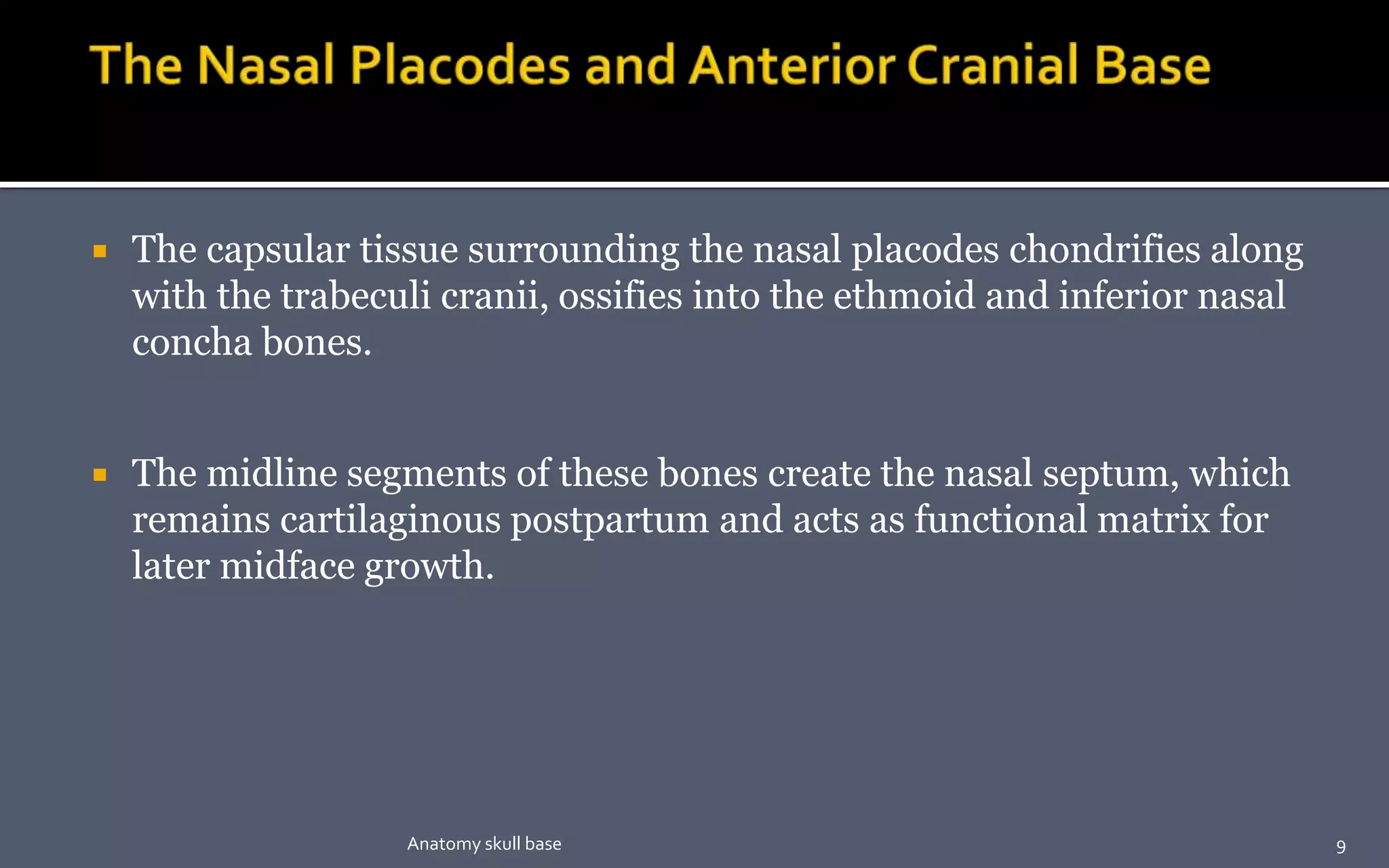  The capsular tissue surrounding the nasal placodes chondrifies along
with the trabeculi cranii, ossifies into the ethmoid and inferior nasal
concha bones.
 The midline segments of these bones create the nasal septum, which
remains cartilaginous postpartum and acts as functional matrix for
later midface growth.
9Anatomy skull base
 