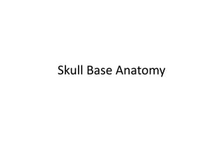 Skull Base Anatomy
 