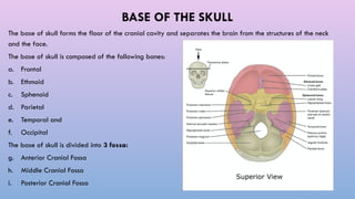 Radiological Anatomy of the Skull Base by Dr. Aryan | PPTX