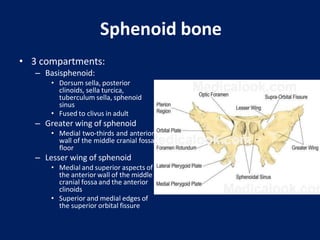 skull base lesion imaging.pptx