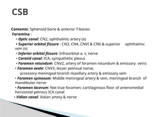 SKULL BASE OVERVIEW anatomy anteroir middle and posterior | PPTX
