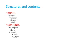 Structures and contents
• BONES
• Fossa
• Foramen
• Fissure
• Canal
• CONTENTS
• Ganglion
• Nerve
• Vessel
• Vein
• Artery
11
 