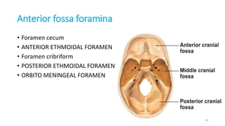Anterior fossa foramina
• Foramen cecum
• ANTERIOR ETHMOIDAL FORAMEN
• Foramen cribriform
• POSTERIOR ETHMOIDAL FORAMEN
• ORBITO MENINGEAL FORAMEN
28
 