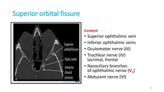 Superior orbital fissure
Content
• Superior ophthalmic vein
• Inferior ophthalmic veins
• Oculomotor nerve (III)
• Trochlear nerve (IV)
lacrimal, frontal
• Nasociliary branches
of ophthalmic nerve (V1)
• Abducent nerve (VI)
36
 