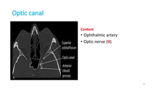 Optic canal
Content
• Ophthalmic artery
• Optic nerve (II)
38
 