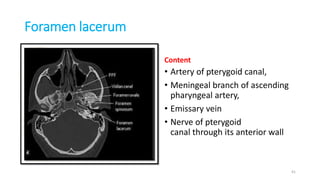 Foramen lacerum
Content
• Artery of pterygoid canal,
• Meningeal branch of ascending
pharyngeal artery,
• Emissary vein
• Nerve of pterygoid
canal through its anterior wall
41
 