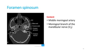 Foramen spinosum
Content
• Middle meningeal artery
• Meningeal branch of the
mandibular nerve (V3)
42
 
