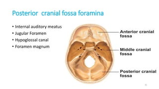 Posterior cranial fossa foramina
• Internal auditory meatus
• Jugular Foramen
• Hypoglossal canal
• Foramen magnum
43
 
