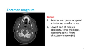 Foramen magnum
Content
1. Anterior and posterior spinal
arteries, vertebral arteries
2. Lowest part of medulla
oblongata, three meninges,
ascending spinal fibers
of accessory nerve (XI)
47
 