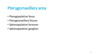 Pterygomaxillary area
• Pterygopalatine fossa
• Pterygomaxillary fissure
• Sphenopalatine foramen
• Sphenopalatine ganglion
49
 