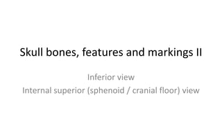 Skull bones, features and markings II
Inferior view
Internal superior (sphenoid / cranial floor) view

 