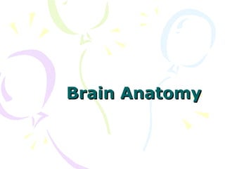 Brain AnatomyBrain Anatomy
 