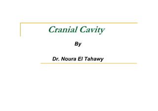Cranial Cavity
         By

 Dr. Noura El Tahawy
 