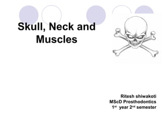 Skull, Neck and 
Muscles 
Ritesh shiwakoti 
MScD Prosthodontics 
1st year 2nd semester 
 
