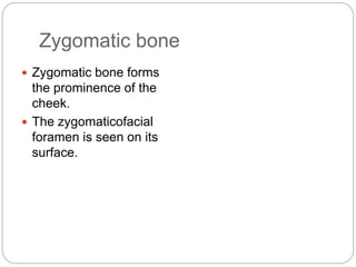 Zygomatic bone
 Zygomatic bone forms
the prominence of the
cheek.
 The zygomaticofacial
foramen is seen on its
surface.
 