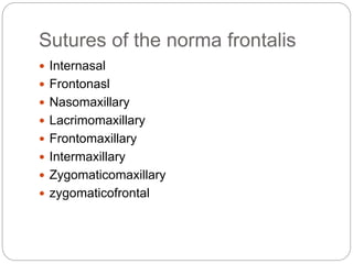 Sutures of the norma frontalis
 Internasal
 Frontonasl
 Nasomaxillary
 Lacrimomaxillary
 Frontomaxillary
 Intermaxillary
 Zygomaticomaxillary
 zygomaticofrontal
 