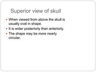 Superior view of skull
 When viewed from above the skull is
usually oval in shape.
 It is wider posteriorly than anteriorly.
 The shape may be more nearly
circular.
 
