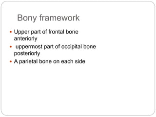 Bony framework
 Upper part of frontal bone
anteriorly
 uppermost part of occipital bone
posteriorly
 A parietal bone on each side
 