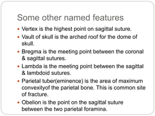 Some other named features
 Vertex is the highest point on sagittal suture.
 Vault of skull is the arched roof for the dome of
skull.
 Bregma is the meeting point between the coronal
& sagittal sutures.
 Lambda is the meeting point between the sagittal
& lambdoid sutures.
 Parietal tuber(eminence) is the area of maximum
convexityof the parietal bone. This is common site
of fracture.
 Obelion is the point on the sagittal suture
between the two parietal foramina.
 