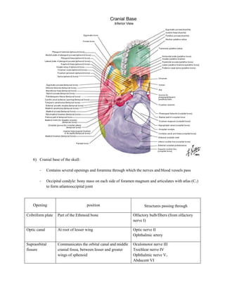 6) Cranial base of the skull:

        -     Contains several openings and foramina through which the nerves and blood vessels pass

        -     Occipital condyle: bony mass on each side of foramen magnum and articulates with atlas (C1)
              to form atlantooccipital joint



    Opening                           position                          Structures passing through

Cribriform plate    Part of the Ethmoid bone                     Olfactory bulb/fibers (from olfactory
                                                                 nerve I)

Optic canal         At root of lesser wing                       Optic nerve II
                                                                 Ophthalmic artery

Supraorbital        Communicates the orbital canal and middle    Oculomotor nerve III
fissure             cranial fossa, between lesser and greater    Trochlear nerve IV
                    wings of sphenoid                            Ophthalmic nerve V1
                                                                 Abducent VI
 