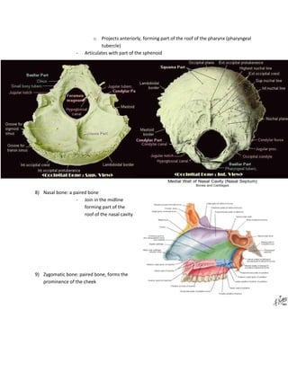 o   Projects anteriorly, forming part of the roof of the pharynx (pharyngeal
                               tubercle)
                   -   Articulates with part of the sphenoid




8) Nasal bone: a paired bone
                  - Join in the midline
                      forming part of the
                      roof of the nasal cavity




9) Zygomatic bone: paired bone, forms the
   prominence of the cheek
 