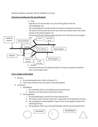 branches (temporal, zygomatic, Buccal mandibular, cervical)

         Structures passing into the parotid gland:

                                  1) Veins
                              -     Superficial vein and maxillary vein join into the gland to form the
                                    retromandibular vein.
                              -     The retromandibular vein then divides into anterior and posterior divisions
                              -     The anterior division joins the facial vein to form the common facial vein which
                                    extends as the internal jugular vein
                              -     The posterior division joins the great auricular vein to form the external jugular
Superficial                         vein         Facial       Common
 temporal          Retromandibular                                Facial



                            Parotid
                             gland                Ant. division            Internal jugular



     Maxillary

                             Posterior                            External jugular
                              division         Great
                                              auricular
                               2) Arteries:
                              - External carotid enters the gland and ends in it by giving superficial temporal
                                 artery and maxillary artery

         Nerve Supply of the gland

              1) Sensory:
                    a. by auriculotemporal nerve which is branch of V3
                    b. carries pain sensation from the capsule of the parotid gland
              2) Autonomic:
                    a. Sympathetic:
                             i. By sympathetic plexus surrounding external carotid artery
                            ii. Decreases salivation and secretions (dry mouth)
                    b. Parasympathetic
                             i. By glossopharyngeal carried by the lesser petrosal nerve
                            ii. The salivary nuclei located in the brain is responsible for the production of saliva
                           iii. The preganglionic parasympathetic, stops to relay in otic ganglia, located in the
                                infratemporal fossa
                           iv. Post ganglionic fibers runs to the parotid gland with the auriculotemporal nerve

                                             Lesser Petrosal                                  Auriculotemporal
 