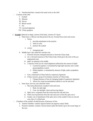 6. Nasolacrimal duct: connects the nasal cavity to the orbit
 -   Contents of the orbit
        I. Eyeball
        II. Muscles
        III. Nerves
        IV. Blood vessels
        V. Fat
        VI. Lacrimal apparatus
       VII. Ciliary ganglion

I. Eyeball: spherical in shape, camera of the body, consists of 3 layers
        a. Outer layer: a fibrous coat that protects the eye. Formed from sclera and cornea
                   i. Sclera:
                           1. provides attachment to the muscles
                           2. white in color
                           3. protects the eyeball
                  ii. cornea:
                           1. transparent part
        b. Middle layer: also called the vascular coat.
                   i. Choroid: becomes enlarged anteriorly to form the Ciliary body
                  ii. iris: a forward extension of the Ciliary body which gives the color of the eye
                      (pigmented coat)
                 iii. pupil: an opening in the middle
                 iv. 2 muscles of the eye for visual adaptation (affected by the amount of light)
                           1. Constrictor pupilae: is stimulated by high light intensity and is under
                                parasympathetic control
                           2. Dilator pupilae: is stimulated by absence of light, under sympathetic
                                control
                  v. Lens: connected to Ciliary body by suspensory ligaments
                 vi. Ciliary muscles: group of involuntary muscles in Ciliary body
                           1. Change thickness of lens by changing length of suspensory ligaments
                           2. Allows for visual accommodation (ability to see far and near)
        c. Inner layer: nervous coat called the retina
                   i. Has many photsensory receptors (rods and cons)
                           1. Rods: for dark light
                           2. Cons: for daylight, colors and moving objects
                  ii. Optic nerve: originates from the retina from the rods and cons
                 iii. Fibers travel posteriorly from the rods and cons to form the optic nerve
                 iv. Fundus: site of attachment of the optic nerve to the eyeball. It has no rod and
                      cons, thus it’s a blind spot
  - Chambers of the eyeball: divided because of presence of lens
        d. Anterior chamber: contains aqueous humor (an aqueous watery fluid)
        e. Posterior chamber: contains vitreous humor (jelly like fluid) it gives the round shape of
             the eyes
 