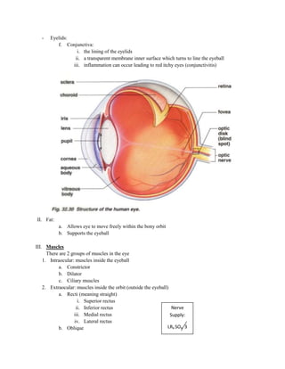 -   Eyelids:
          f. Conjunctiva:
                  i. the lining of the eyelids
                 ii. a transparent membrane inner surface which turns to line the eyeball
                iii. inflammation can occur leading to red itchy eyes (conjunctivitis)




II. Fat:
           a. Allows eye to move freely within the bony orbit
           b. Supports the eyeball

III. Muscles
      There are 2 groups of muscles in the eye
    1. Intraocular: muscles inside the eyeball
           a. Constrictor
           b. Dilator
           c. Ciliary muscles
    2. Extraocular: muscles inside the orbit (outside the eyeball)
           a. Recti (meaning straight)
                      i. Superior rectus
                     ii. Inferior rectus                            Nerve
                   iii. Medial rectus                              Supply:
                    iv. Lateral rectus
           b. Oblique                                             LR6 SO4 3
 