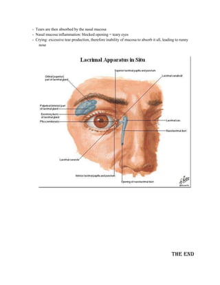 - Tears are then absorbed by the nasal mucosa
- Nasal mucosa inflammation: blocked opening = teary eyes
- Crying: excessive tear production, therefore inability of mucosa to absorb it all, leading to runny
   nose




                                                                                          The end
 